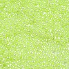 Ceylon Glass Seed Beads SEED-K009-02B-39-3