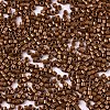 FGB 11/0 Grade A Baking Paint Glass Seed Beads SEED-S030-1031-2