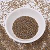 MIYUKI Delica Beads SEED-MY11-DB0981-2