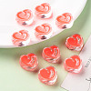 Transparent Enamel Acrylic Beads TACR-S155-004A-6