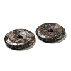 Natural Glaucophane Pendants G-P532-01A-05-2