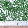 MIYUKI Round Rocailles Beads SEED-X0054-RR0411-4