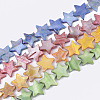 Freshwater Shell Beads Strands SHEL-S276-51-1