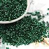 Glass Seed Beads X-SEED-S042-04B-28-1