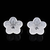 Transparent Acrylic Beads X-PL554-A-4