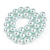Glass Pearl Beads Strands HY-G002-01F-12-5