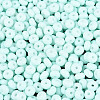 Opaque Glass Seed Beads SEED-N012-09A-06-3