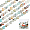 2 Strands Natural Flower Amazonite Beads Strands G-BBC0001-40-1