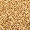 TOHO Round Seed Beads X-SEED-TR08-0923-2