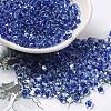 Glass Seed Beads SEED-K009-08A-09-1