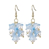 Flower Transparent Spray Painted Glass Cluster Earrings EJEW-JE05741-4