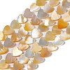Natural Yellow Shell Beads Strands SHEL-F003-01B-1