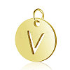 304 Stainless Steel Charms STAS-S105-T514G-V-1