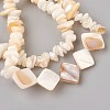 White Shell Chip Beads Stretch Bracelets BJEW-JB03983-01-2