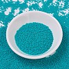 MIYUKI Delica Beads X-SEED-J020-DB0793-2
