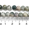 Natural Tree Agate Frosted Agate Round Gemstone Beads Strands X-G-O151-01-6mm-2