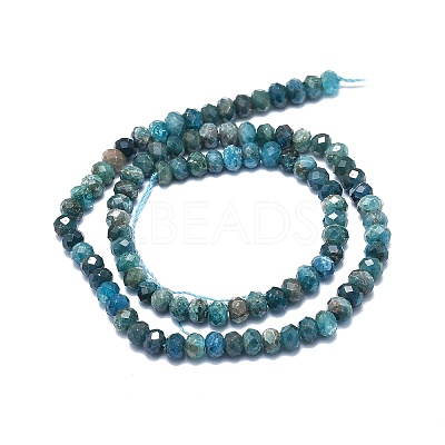 Natural Apatite Beads Strands G-F715-101B-1