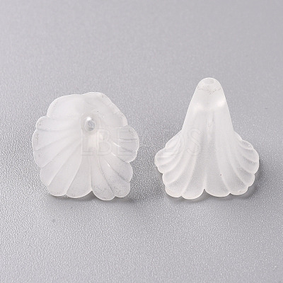 Transparent Acrylic Bead Caps PL551-1