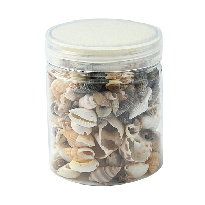 12 Styles Natural Mixed Shell Beads SSHEL-YW0001-05-1