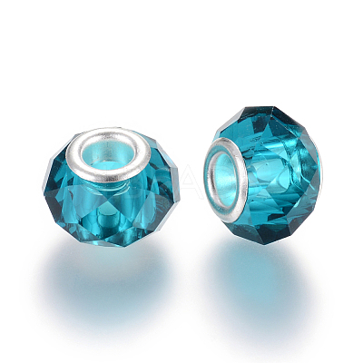 Handmade Glass European Beads LS-X-GPDL25Y-77-1