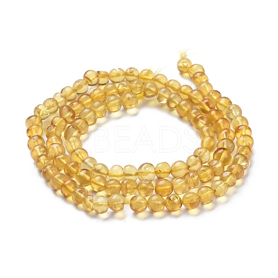 Natural Amber Beads Strands G-K308-C02-5mm-1