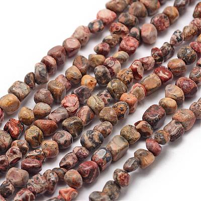 Natural Leopard Skin Jasper Beads Strands G-F465-31-1