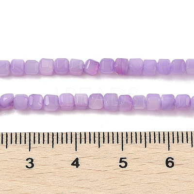 Natural Freshwater Shell Dyed Beads Strands SHEL-R100-11A-04-1