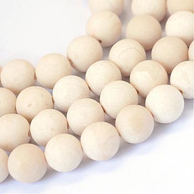 Frosted Natural Fossil Round Bead Strands G-E334-8mm-22-1