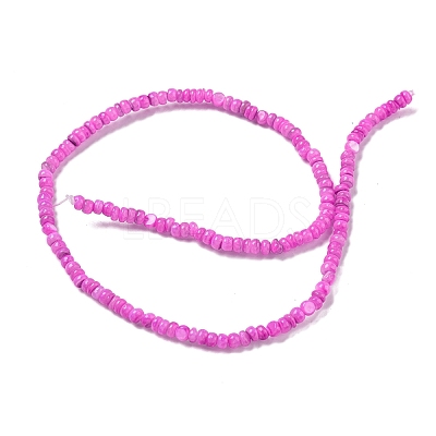 Dyed Natural Freshwater Shell Beads Strands BSHE-G039-07L-1