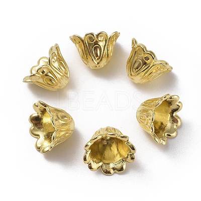 Tibetan Style Alloy Bead Caps LS-TIBEB-EA9700YKG-G-LF-1