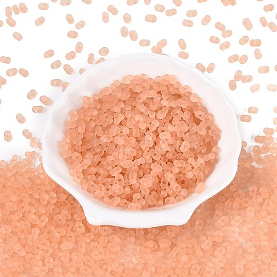 FGB Frosted Transparent Glass Seed Beads SEED-N013-06A-04-1