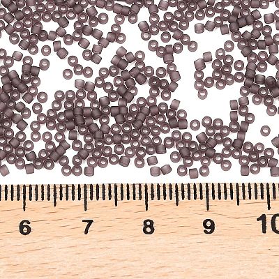 MIYUKI Delica Beads X-SEED-J020-DB2405-1