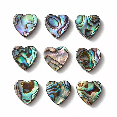 Abalone Shell/Paua Shell Beads SHEL-T005-01-1