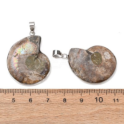 Snail Fossil Pendants G-D051-1-1