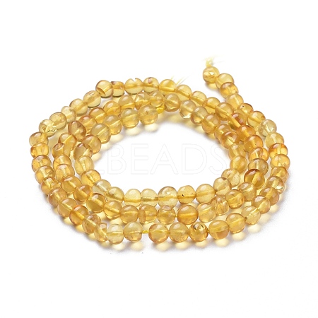 Natural Amber Beads Strands G-K308-C02-5mm-1