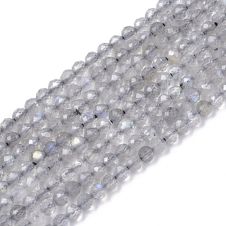 Natural Labradorite Beads Strands X-G-S361-2mm-010-1