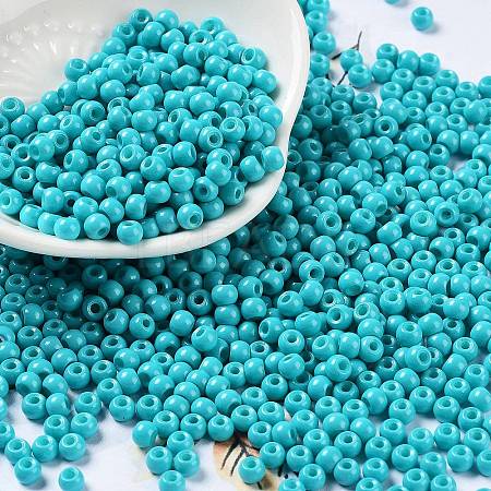 Baking Paint Glass Seed Beads SEED-H002-I-A507-1