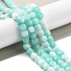 Natural Quartz Imitation Amazonite Beads Strands G-C179-B21-01-2