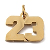 316 Surgical Stainless Steel Charms STAS-WH0022-84G-23-1
