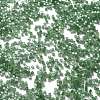 Imitation Cat Eyes Glass Seed Beads X-SEED-H003-03I-3