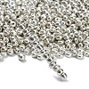 6/0 Glass Seed Beads E0690044-4