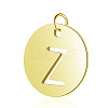 304 Stainless Steel Charms STAS-S105-T514G-Z-1