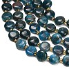 Natural Apatite Beads Strands G-H005-B14-01-3