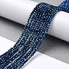 Electroplate Glass Beads Strands GLAA-H021-01A-FP03-3