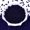 FGB Transparent Glass Seed Beads SEED-N013-01A-03-2