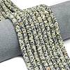 Natural Dalmatian Jasper Beads Strands G-P575-B03-6x1mm-1