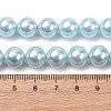Electroplated Shell Pearl Beads Strands BSHE-G041-10mm-03-4