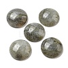 Natural Labradorite Cabochons G-C115-02A-26-1