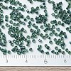 MIYUKI Delica Beads SEED-MY11-DB0276-4