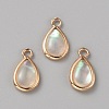 Natural White Shell Teardrop Charms with Enamel FIND-WH0159-52A-KCG-1
